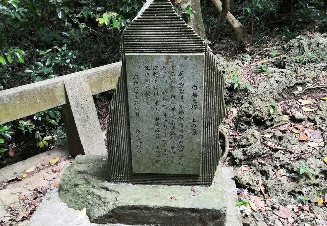 🌸 백매의 탑(시라우메노토) 이미지 1